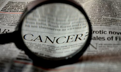 CBD et Cancer : Ce que disent les chercheurs