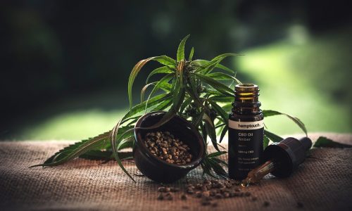 CBD : Présentation du CBD ou Cannabidiol